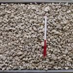 TCS #264 1/2" Type D